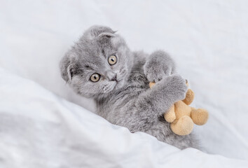 Playful tiny kitten hugs favorite toy bear under white warm blanket on a bed at home.Top down view