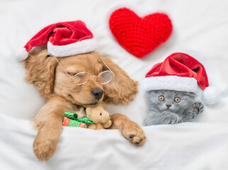 English Cocker spaniel puppy and tiny kitten wearing santa hat sleep together withred heart under white warm blanket on a bed at home. Dog  hugs toy bear. Top down view