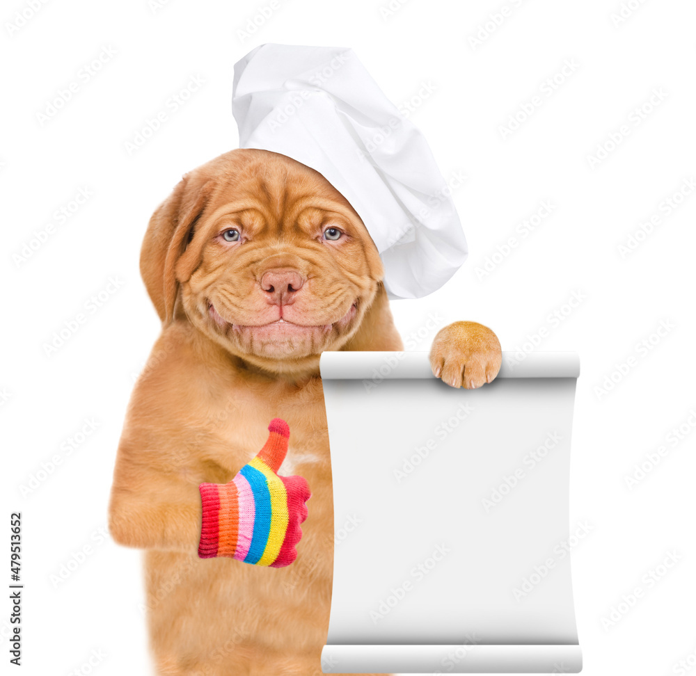 Poster happy mastiff puppy wearing chef's hat shows empty list and thumbs up gesture. isolated on white bac