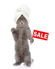 Funny tiny kitten with towel on it head shows sales symbol. isolated on white background