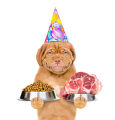 Smiling Mastiff puppy wearing a party cap holds bowls with dry dog food and raw meat. isolated on white background