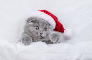 Playful fold kitten wearing red santa's hat lies under a white blanket on a bed at home. Top down...