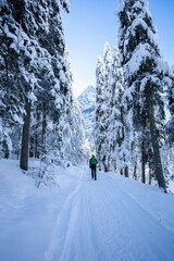 Kranjska Gora in Slovenia surroundings, winter landscape