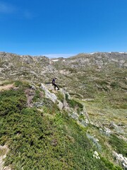 Obraz premium Kosciuszko national park mountains in summer 