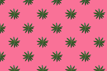 Lupine flower leaves with dew drops for decorating gifts and decorations in design on a pink background. Photo of a seamless pattern