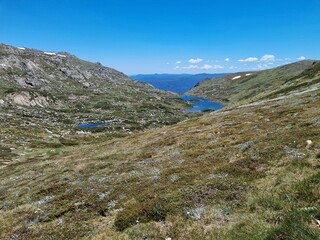 Kosciuszko national park mountains in summer 