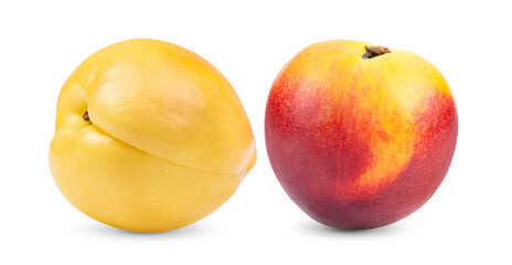 Nectarine fruit isolated on white