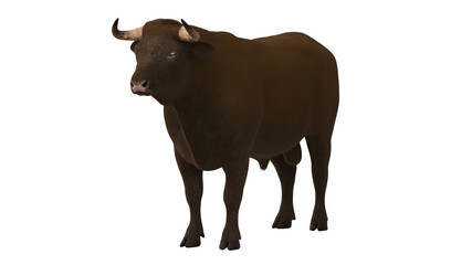 3d rendered illustration of the bovine anatomy - the body