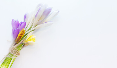 Naklejka premium Bouquet of spring flowers with soft focus. Lilac and yellow crocuses on a white background with copy space