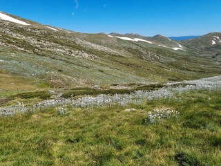 Kosciuszko national park in summer