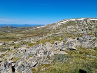 Kosciuszko national park in summer