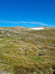 Fototapeta premium Kosciuszko national park in summer