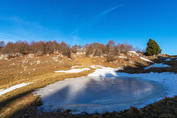 Small frozen lake for cows on Lessinia Plateau, Regional Natural Park. On background group of bare beech trees, rock karst formations and brown pasture. Erbezzo, Verona province, Veneto, Italy, Europe