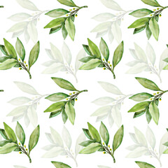 Seamless pattern Tree laurel.Image on white and colored background.Seamless pattern.