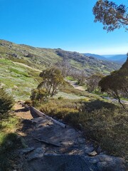 Kosciuszko national park in summer