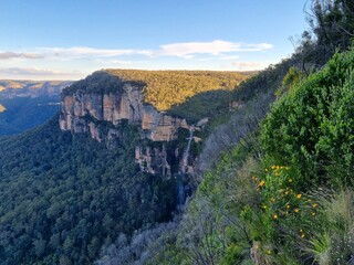 Fototapeta na wymiar Blue mountains, Wentworth Falls on the sunny day, Australia