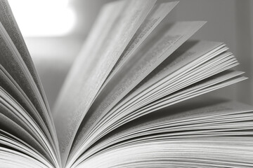 Open book close up pages. Study concept.