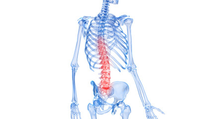 3d rendered illustration of a painful spine