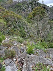 Blue mountains, Wentworth Falls on the sunny day, Australia