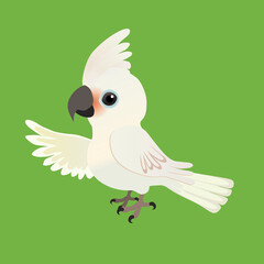An illustration of a cute Goffin's cockatoo, His crest is up and he looks friendly at you. His left wing is up as if he is showing you something. The background is green.
