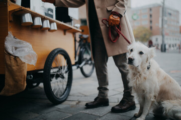 Low section of elegant senior man walking his dog and buiyng street food outdoors in city. - Powered by Adobe