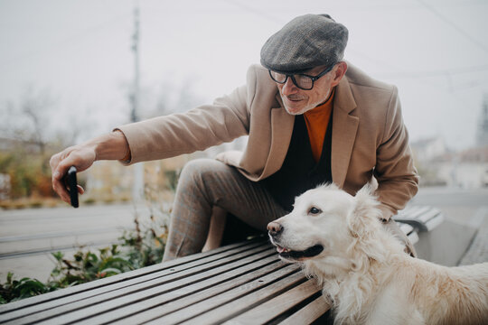 Happy senior man sitting on bench and taking selfie during dog walk outdoors in city.