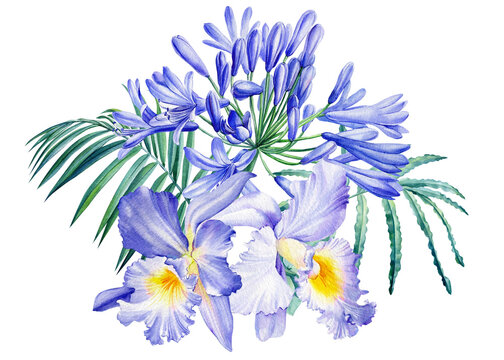 Tropical blue flowers, orchid, bell, palm leaf on isolated white, watercolor drawing, botanical painting