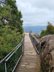 Obraz premium Blue Mountains national park in New South Wales in summer 2022