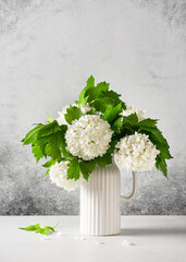 Fresh white snowball flowers in ceramic vase on rustic stone background. Still life. (Viburnum...