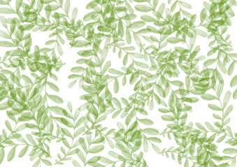 Fototapeta na wymiar Tropical green Leave on white Background. Watercolor Backdrop