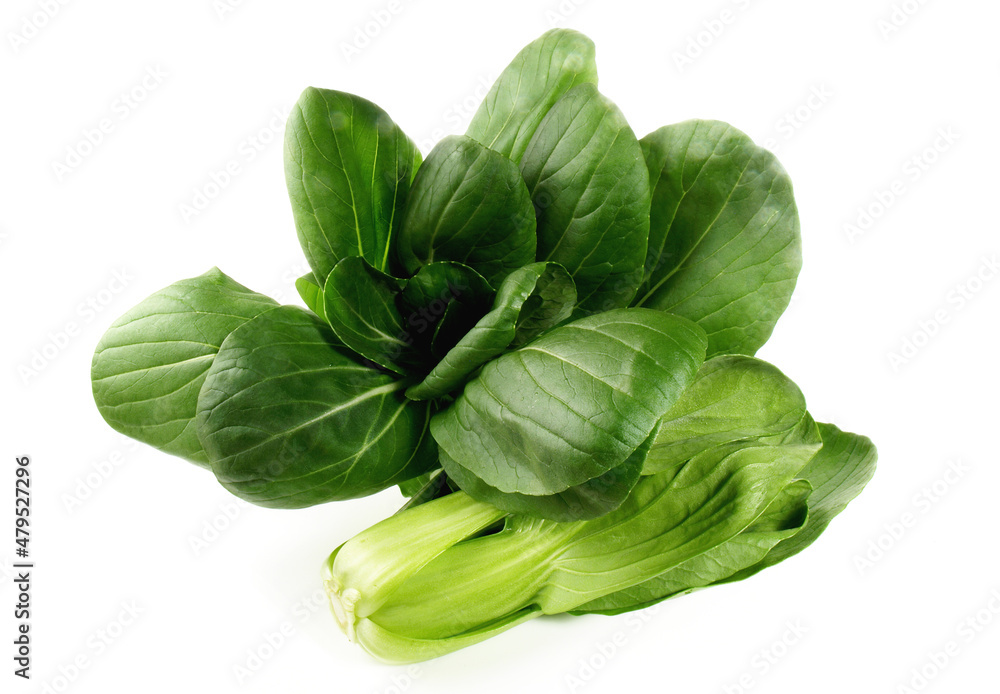 Wall mural Fresh Vegetables - Pak Choi on white Background Isolated