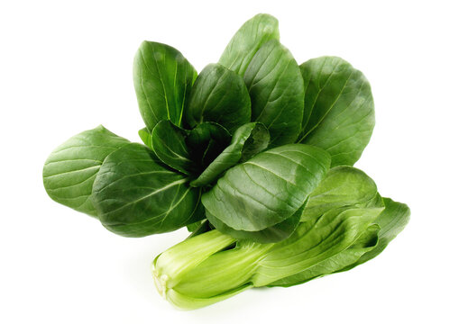 Fresh Vegetables - Pak Choi on white Background Isolated