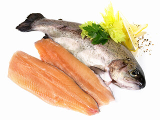 Fresh Fish - Trout Fillet Isolated