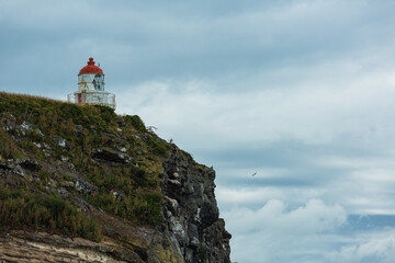 Fototapeta na wymiar ニュージーランド　ダニーデンのオタゴ半島にあるロイヤル・アルバトロス・センター周辺にあるタイアロア・ヘッド灯台と断崖絶壁の崖