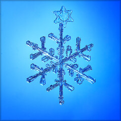 snowflake crystal macro, photo natural object, winter design