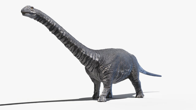 3d rendered illustration of an Argentinosaurus