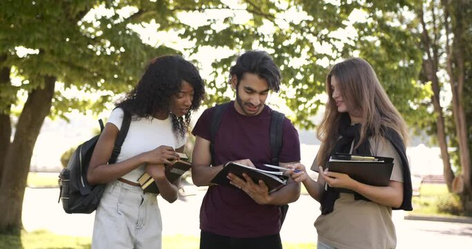 Multi Racial Students Discussing Subject Standing At Park