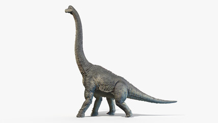 3d rendered illustration of a Brachiosaurus - 479529045