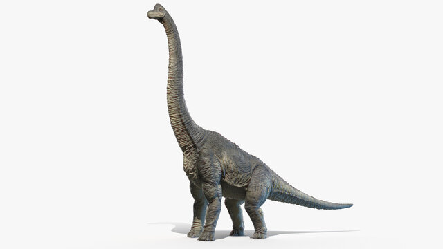 3d rendered illustration of a Brachiosaurus