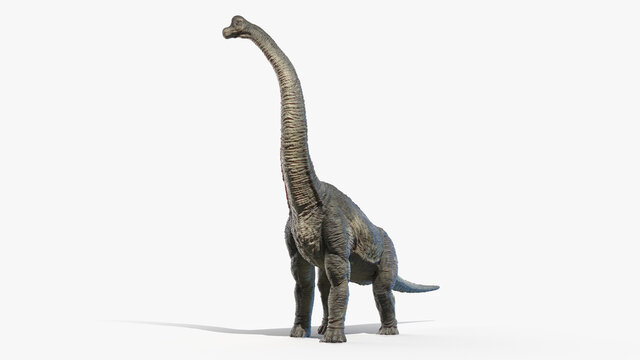 3d rendered illustration of a Brachiosaurus