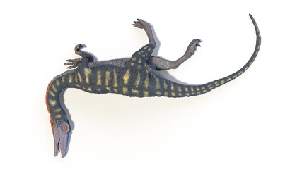 3d rendered illustration of a Coelophysis