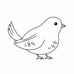 Coloring Book Outlined Bird. Cute baby sparrow isolated on white background.