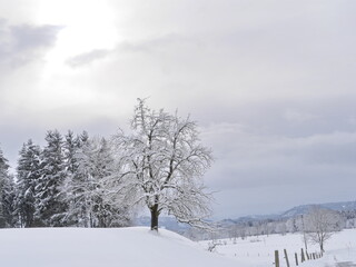 Allgäu Adelegg bei Isny