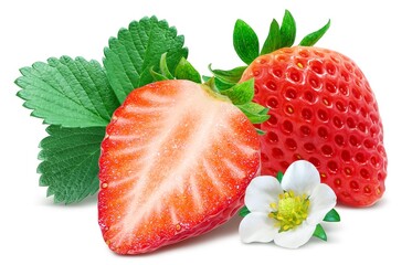 いちご 苺 イチゴ イラスト リアル 葉 花 セット