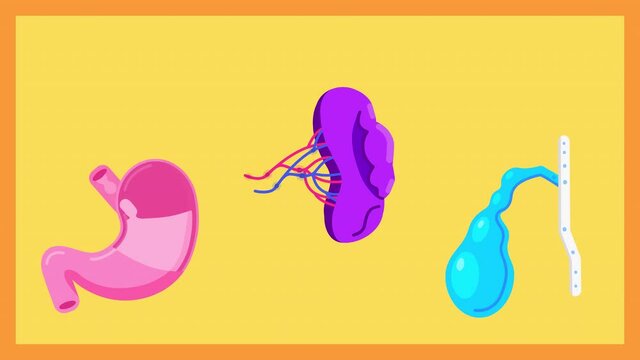 4k video of cartoon human internal organs icons set.