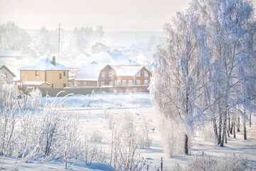Trees and houses in white snow frost in the Moscow region