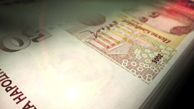Bulgaria leva money counting. BGN banknotes. Fast cash note count macro loop. Business and economy loopable and seamless concept.