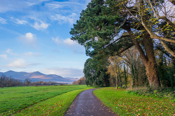 Beautiful Sceneries of Gardens and Parks in Killarney, Ireland.
