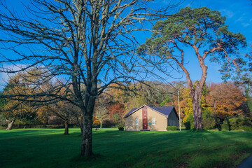 Obraz premium Beautiful Sceneries of Gardens and Parks in Killarney, Ireland.