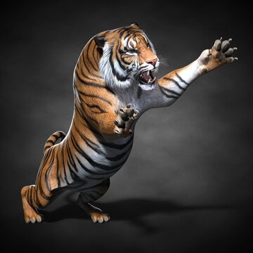 5,002 Tigre Images, Stock Photos, 3D objects, & Vectors